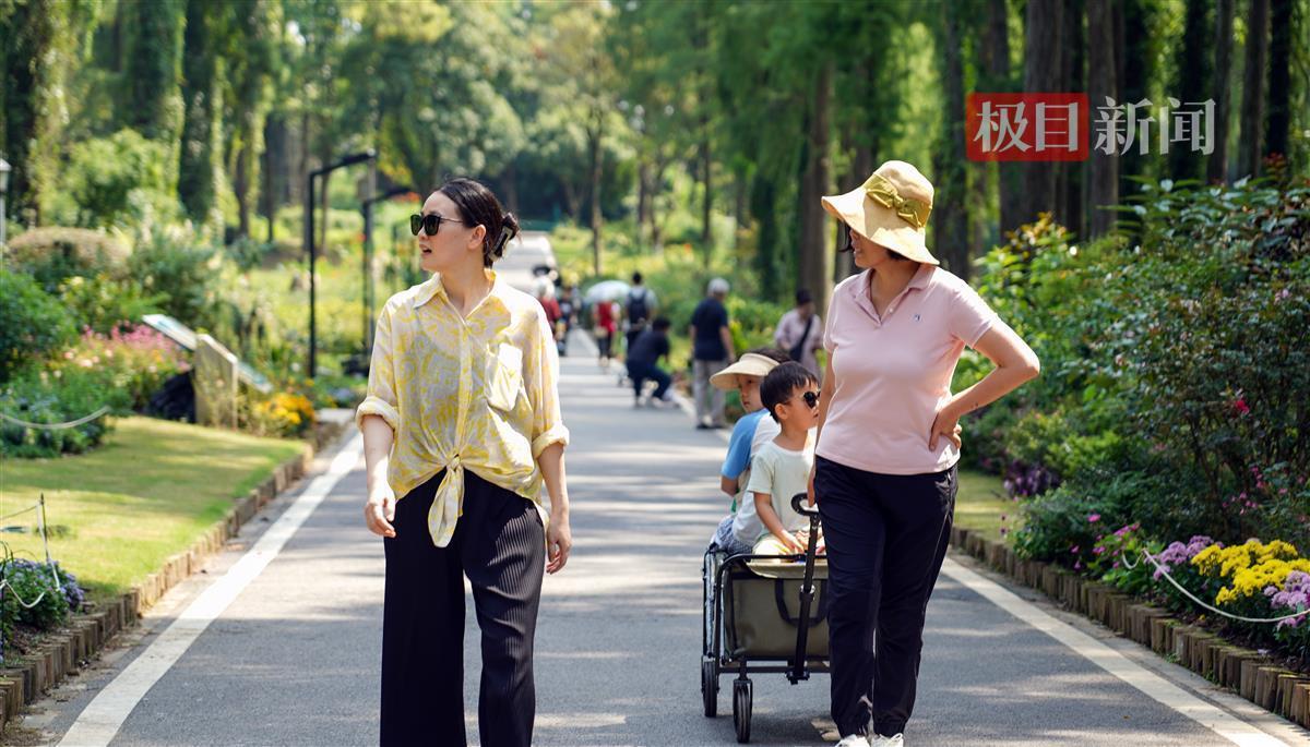 专业电子游艺
